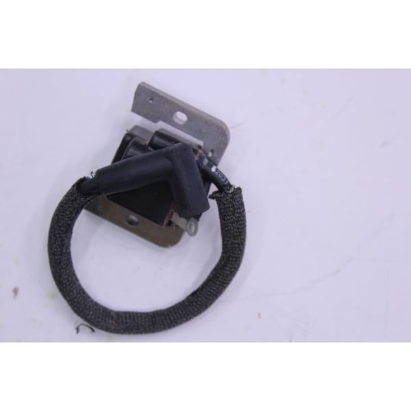 Module Rfi Ign W/Sleeve (Dsam)